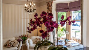 A room with a sofa, chairs, a dining table, a chandelier, and a window with a view of the outside.