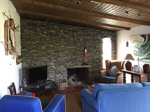 Fernseher, Kamin, DVD-Player, Bücher