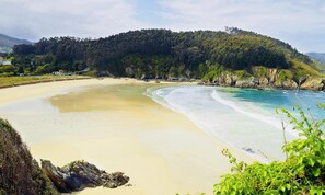 A beach with clear waters, a sandy shore, and a forested hill in the background. - O FARO APARMENTS RIBADEO (Ribadeo)