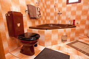 Secadora de cabello, toallas, papel de baño