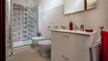 Shower, hair dryer, bidet, towels