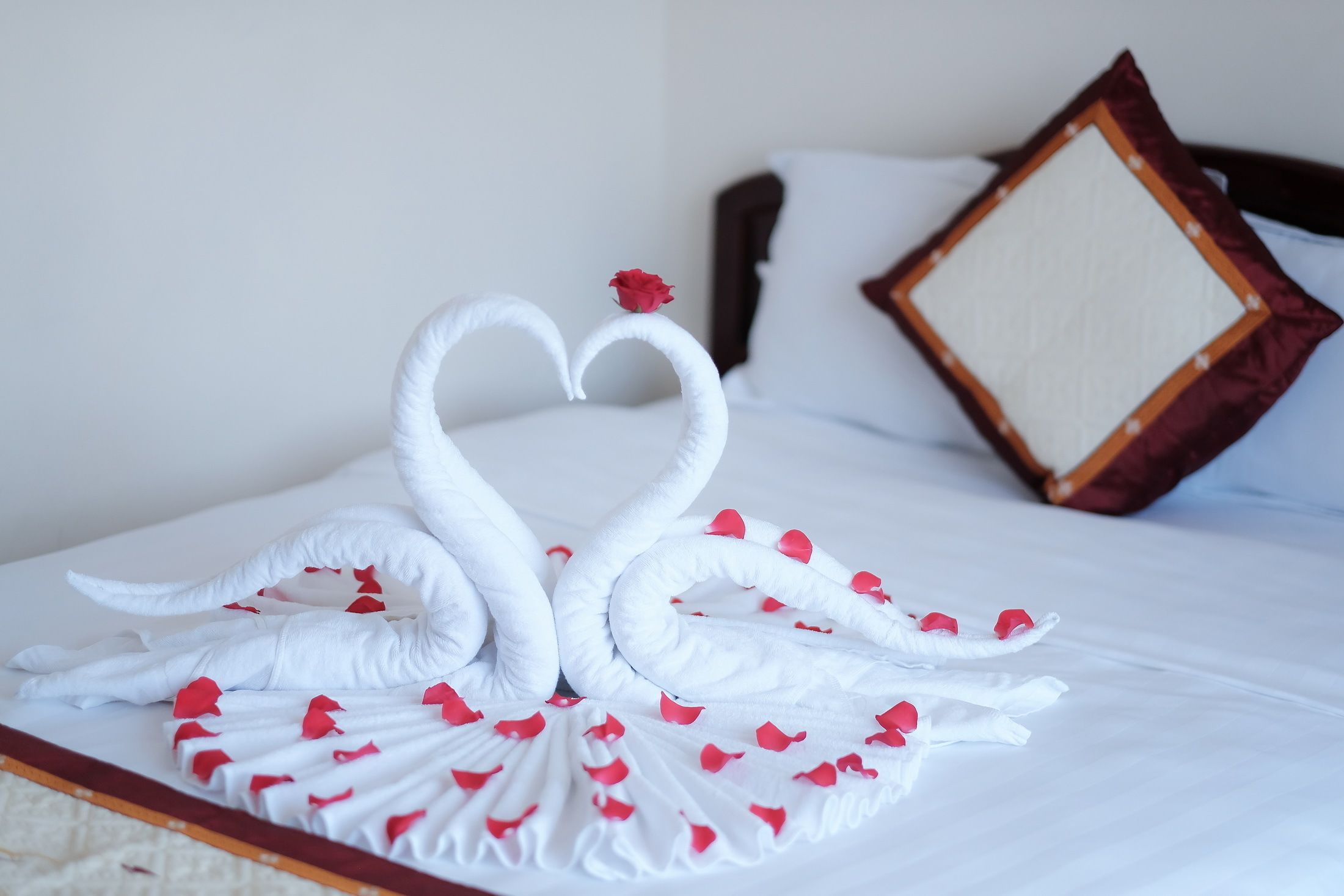 Ein Bett mit Schwanenform aus Handtüchern und Rosenblättern.