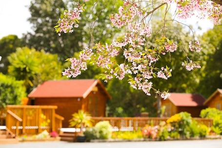 Front of property. Orere Point TOP 10 Holiday Park