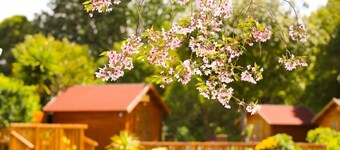 Orere Point TOP 10 Holiday Park