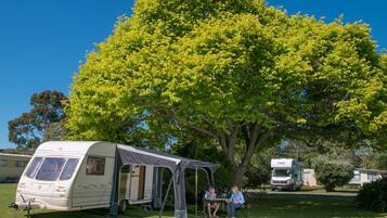 A recreational vehicle (RV) parked under a large tree, with a covered picnic table nearby.