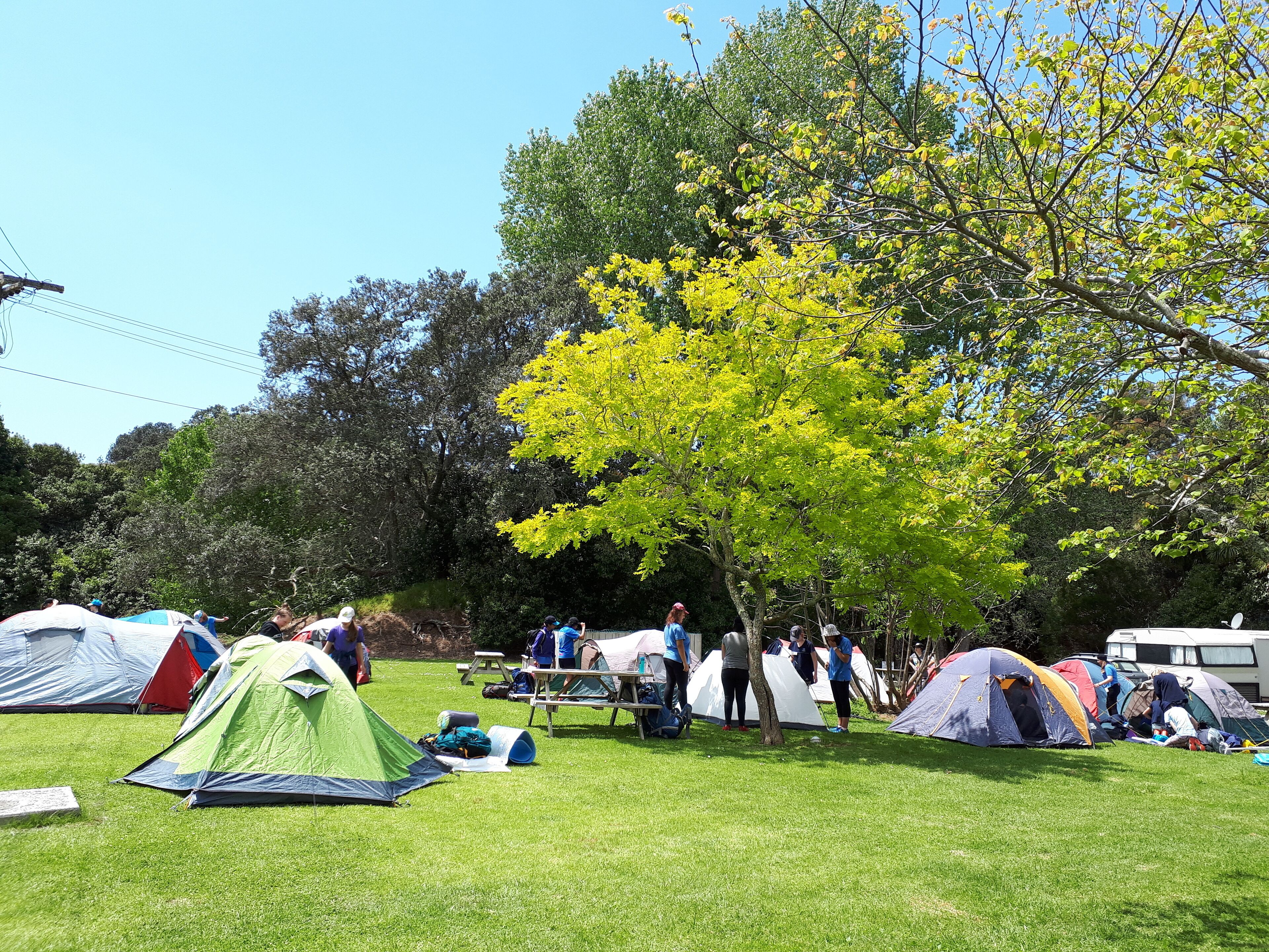 Un terrain de camping avec plusieurs tentes et une table de pique-nique.
