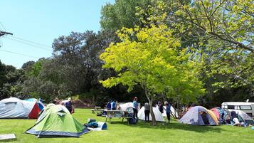 A campsite with multiple tents and a picnic table.