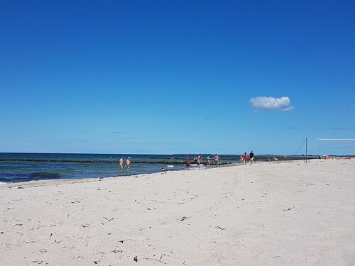 Fewo Kugelfisch / GM 69877