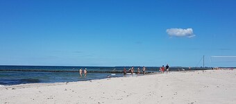 Fewo puffer fisk / GM 69877