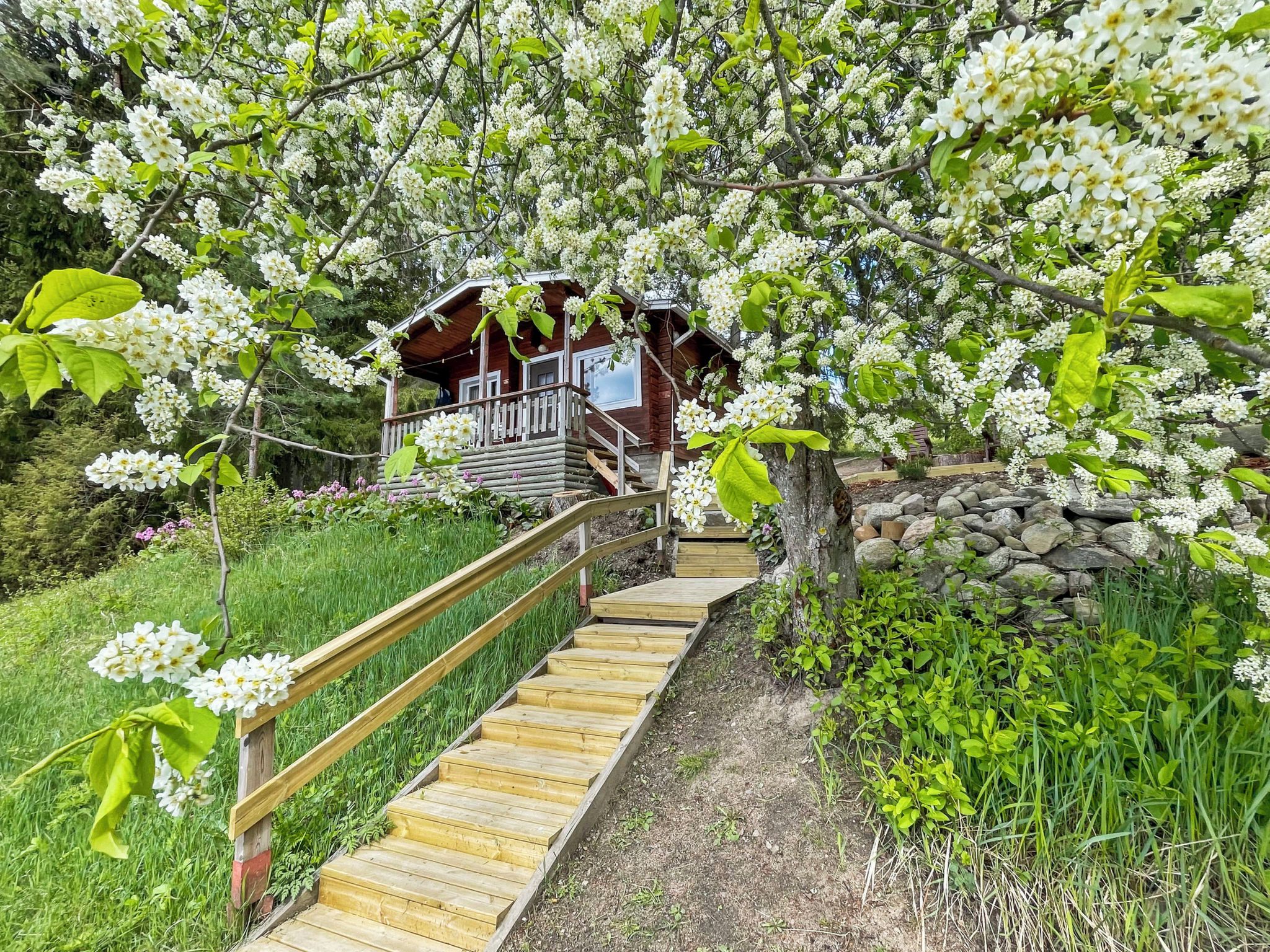 Eksteriør