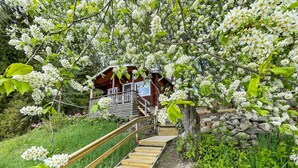 A wooden staircase leading to a cabin surrounded by blooming white flowers and greenery. - Hellinki by Interhome (Virrat)