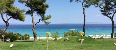 Sun-loungers, beach towels