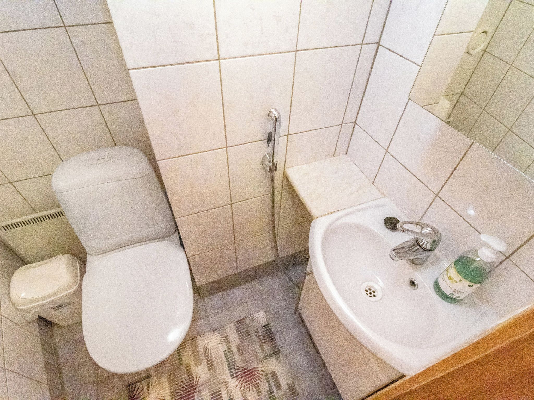 Baño pequeño con inodoro, lavabo y ducha.