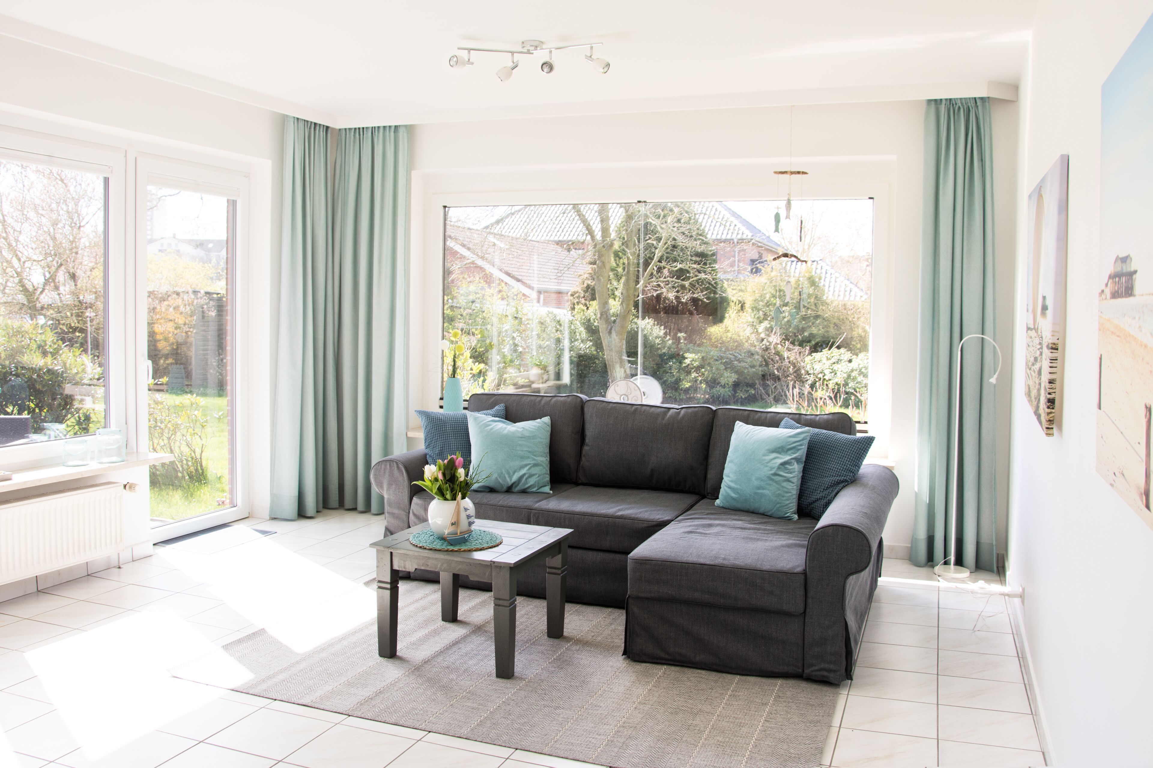 TV, DVD player, books, music library