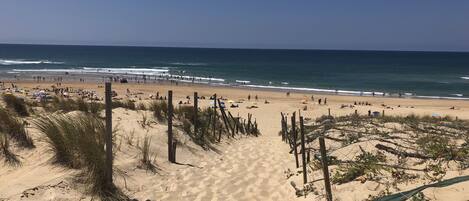 On the beach, sun-loungers