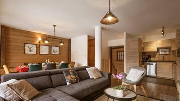 Télévision, cheminée, lecteur de DVD