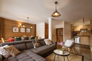 电视、壁炉、DVD 播放器