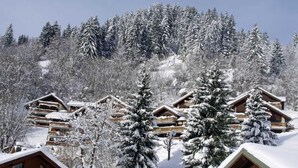 Una cabaña nevada con varios edificios de madera, rodeada de un bosque denso y árboles cubiertos de nieve.