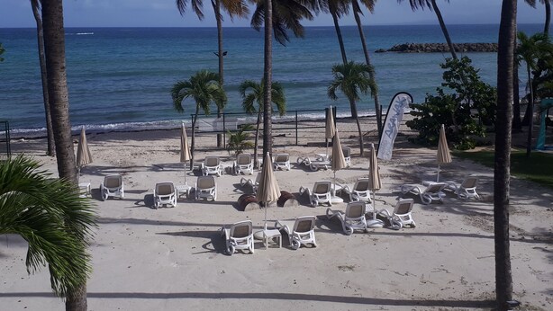 Une plage avec des chaises longues et des parasols blancs, des palmiers et une vue sur l’océan.