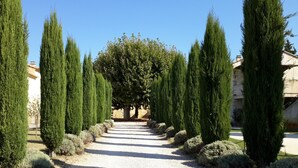 A gravel pathway flanked by tall, narrow trees and low shrubs, leading to a central tree.