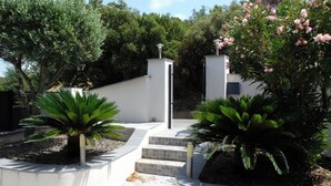 A landscaped garden with a white wall, a small staircase, and various plants including palm trees. - Luxury Villa, Pool and Beautiful View (Saint-Raphaël)
