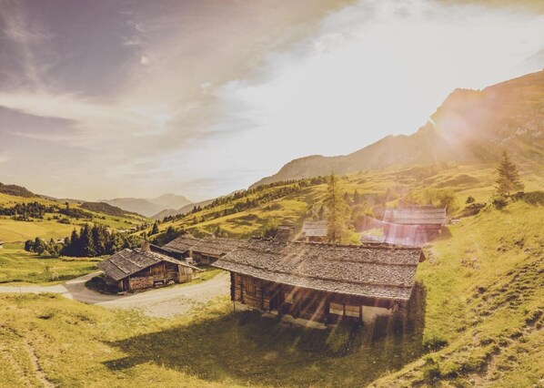 Exteriör