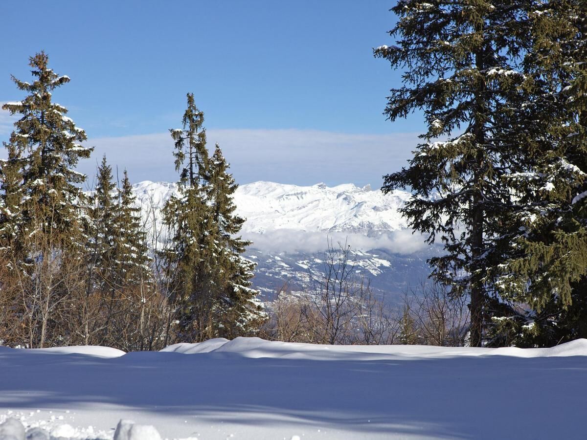 A snowy landscape with evergreen trees and distant snow-capped mountains under a clear sky.