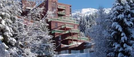 Un immeuble à plusieurs étages doté de balcons, entouré d’arbres couverts de neige.