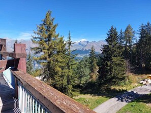 A wooden deck overlooking a mountainous landscape with evergreen trees and a clear sky.
