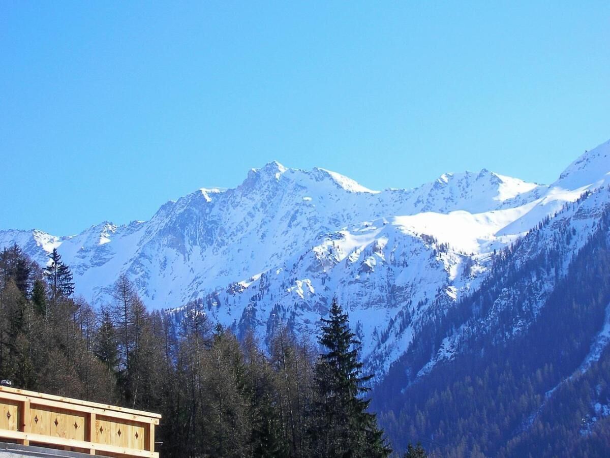 Paisagem montanhosa com picos nevados e uma área arborizada em primeiro plano.