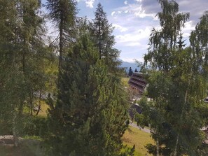 A view of a building surrounded by trees.