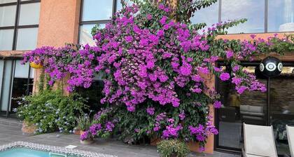 CHARMING HOUSE "L'OLIVIER"