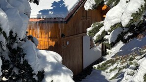 A wooden cabin with a snow-covered roof and a clear blue sky. - Chalet, 350m from ski slopes, balcony, fireplace or stove, tv, 100m², Peisey-Vallandry (Landry)