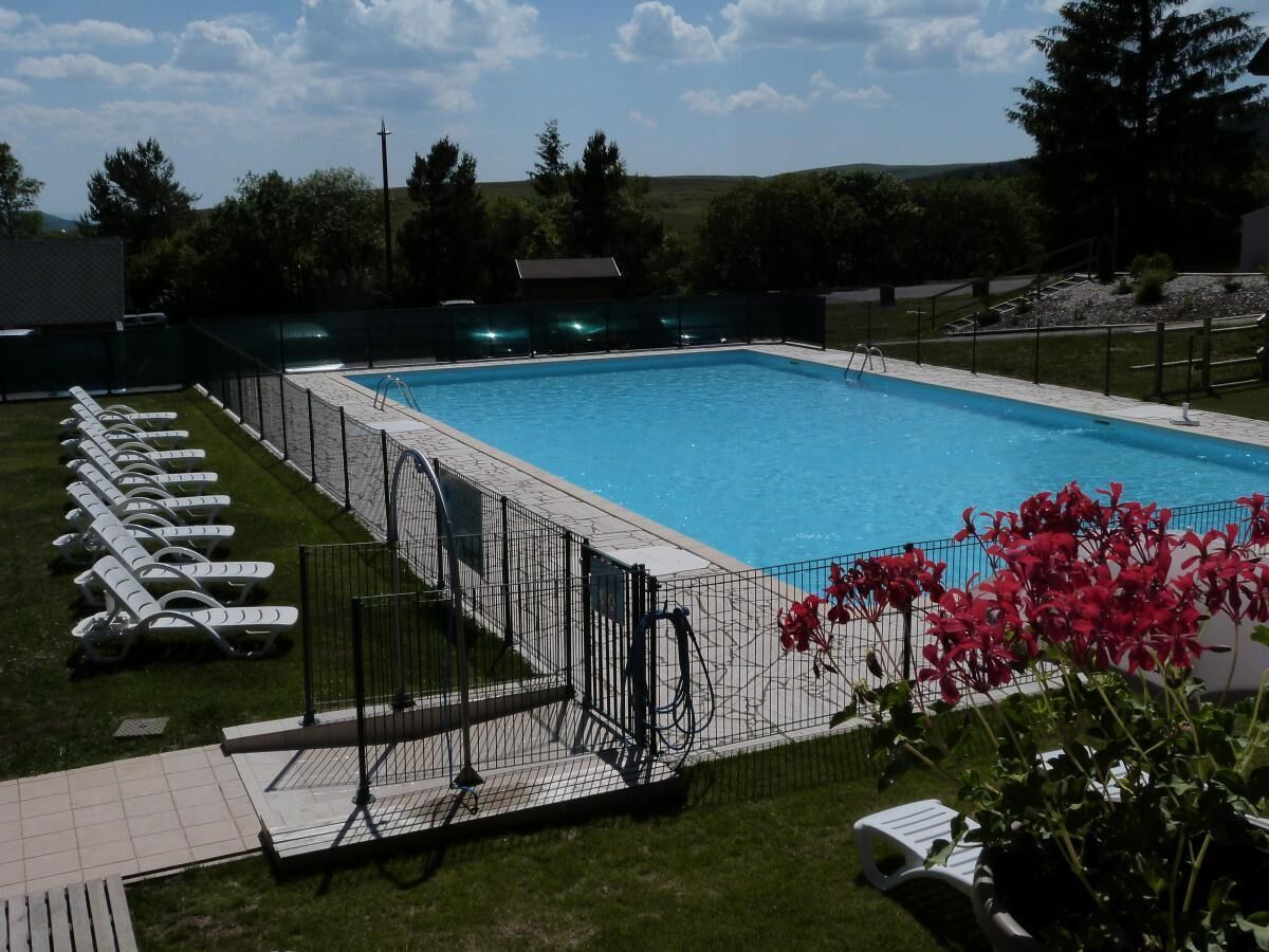 Ein rechteckiger Pool mit umgebender Umzäunung, Liegestühlen und einem Blumenbeet mit roten Blüten.