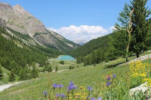 Parco della struttura