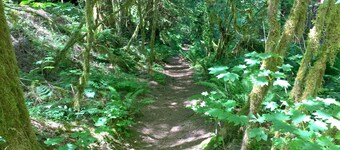 # 34 - Stor engelsk Tudor-stil hjem med privat boblebad! Nu med Wifi!