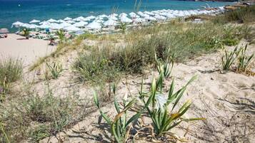 بالقرب من الشاطئ