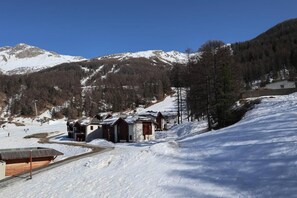 Sne- og skisport