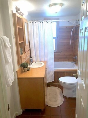 Combined shower/bathtub, jetted bath, hair dryer, towels