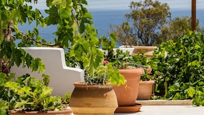 Terracotta pots with green plants arranged on a terrace with a view of the sea. - Ancient Thera Apartments (Santorini)