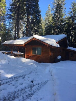 Exterior - Cozy and comfortable wooded cabin (Alta)