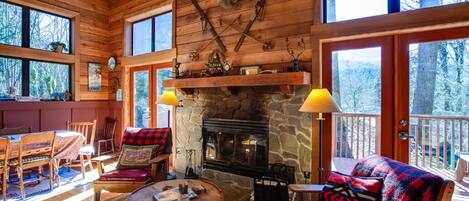 Fireplace, DVD player