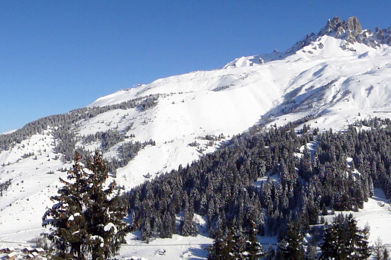 Ein mit Schnee bedeckter Berg mit dichten Wäldern und blauem Himmel.