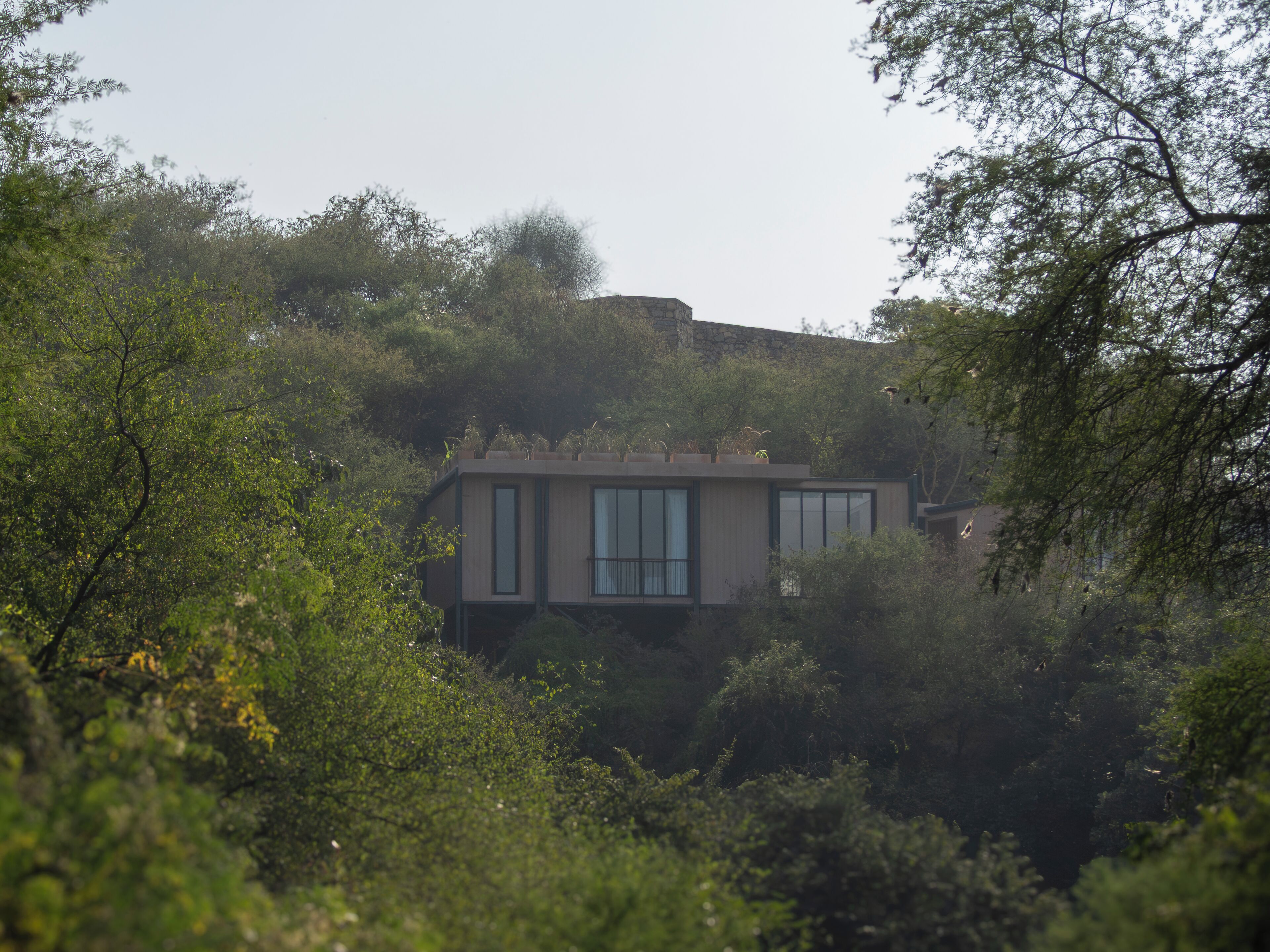 A modern house nestled among dense foliage, with a flat roof and large windows.