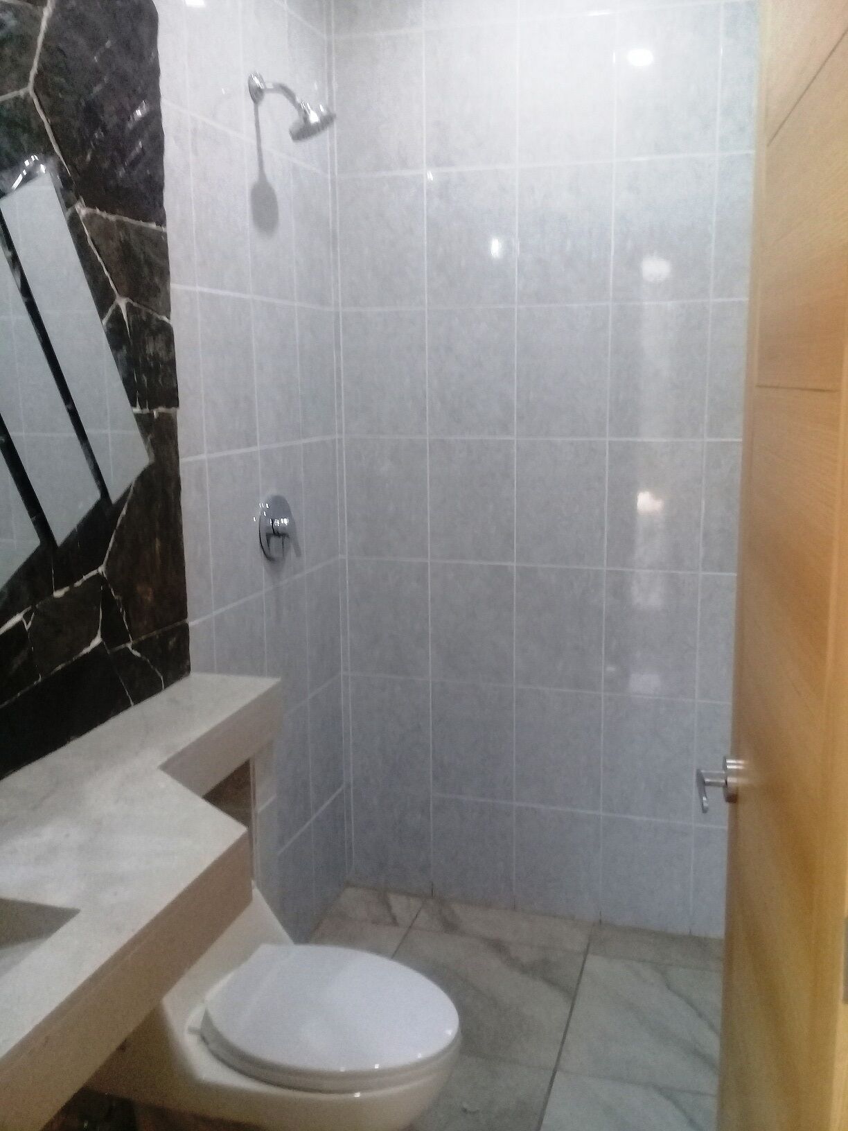Ein Badezimmer mit Toilette, Dusche und einer Wand aus Marmorplatten.