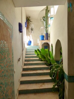 A staircase with a tiled wall on the left and a potted plant on the right.