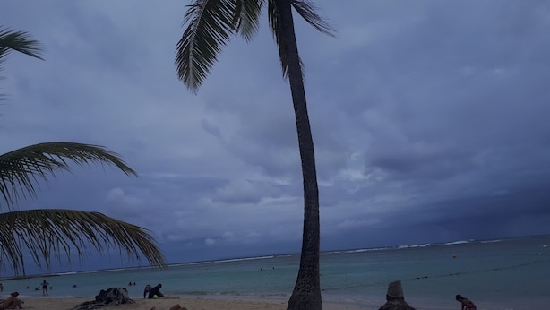 A beach with palm trees and a sandy shore. - Charming cozy house type T3---------------------- (sainte-anne en Guadeloupe)