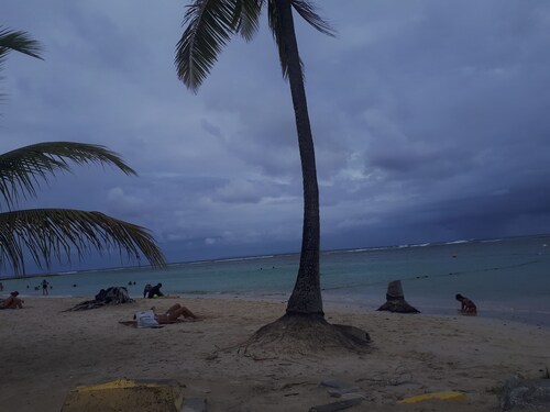 Charming cozy house type T3----------------------