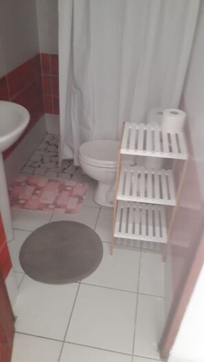 Toallas y papel higiénico