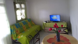 A small room with a green sofa, a TV on a table, and a vase with red flowers on a round table. - Charming cozy house type T3---------------------- (sainte-anne en Guadeloupe)